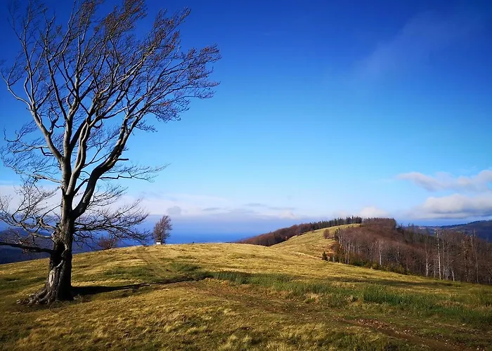 Hvile, Gmina Brenna - Beskidy Holiday home *